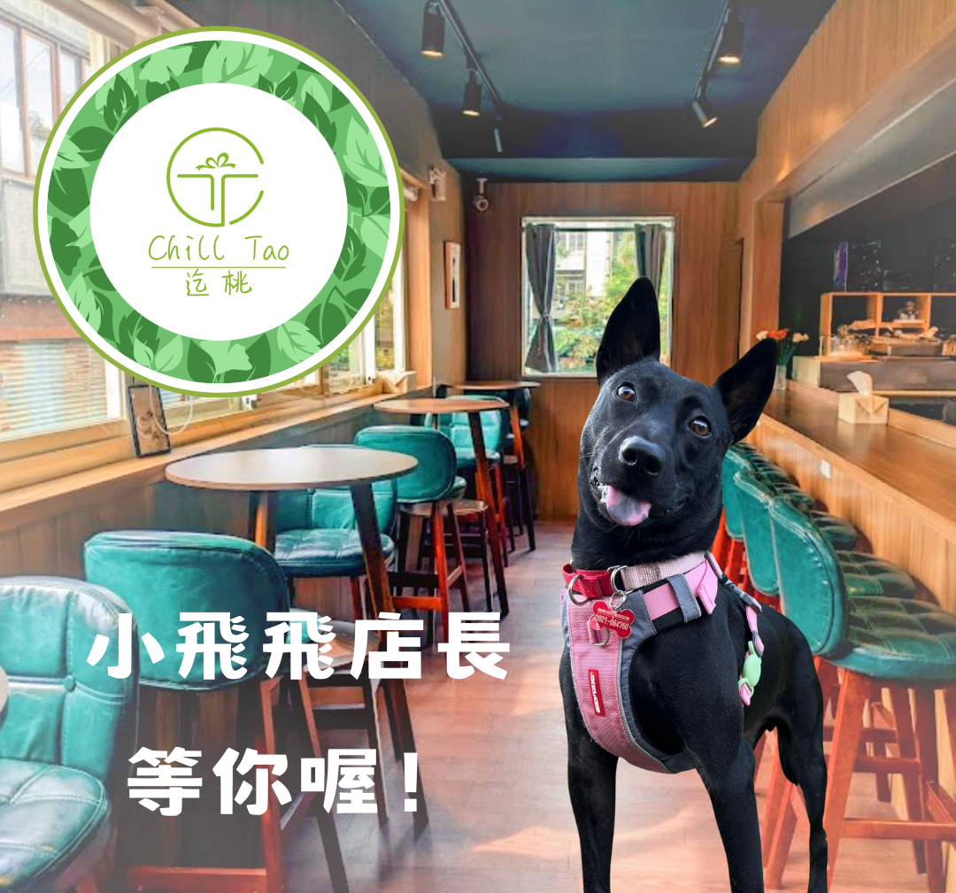 小飛飛店長邀你來迄桃
